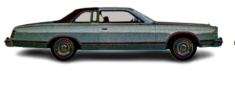 1978 Ford LTD Vehicle Example Paint in Dove Grey paint Code 1N