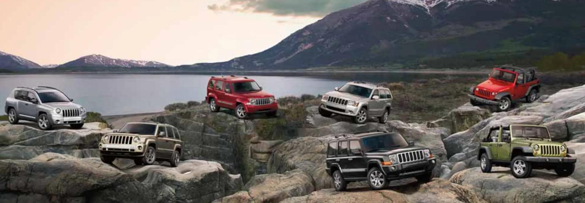 all 2008 jeep vehicles in 1 photo