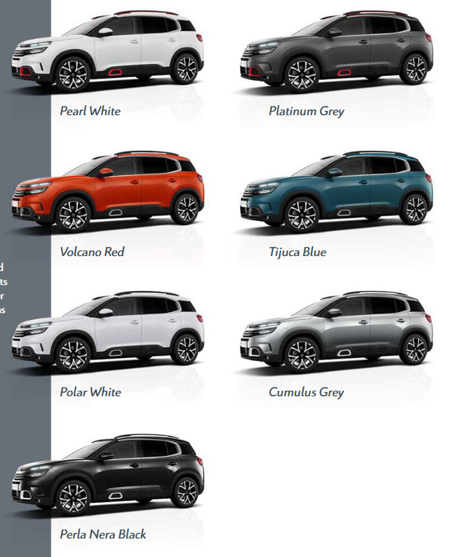 color shades for exterior colors of citroen vehicles.  this guide helps you order paint