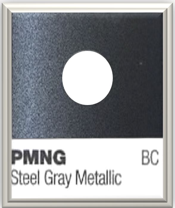 PMNG  Steel Gray Metallic