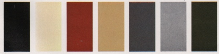 1981 Renault 18i Colors